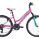 Tüdrukute jalgratas 24 tolli 18 käiku teras R35 BBF MTX, roosa-türkiis