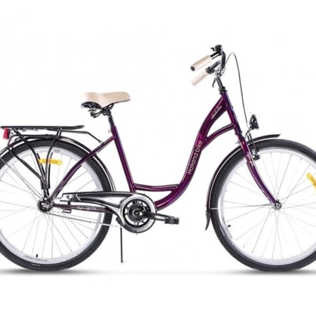 Naiste jalgratas 28 tolli 1 käik teras R43 Storm Amsterdam, violett